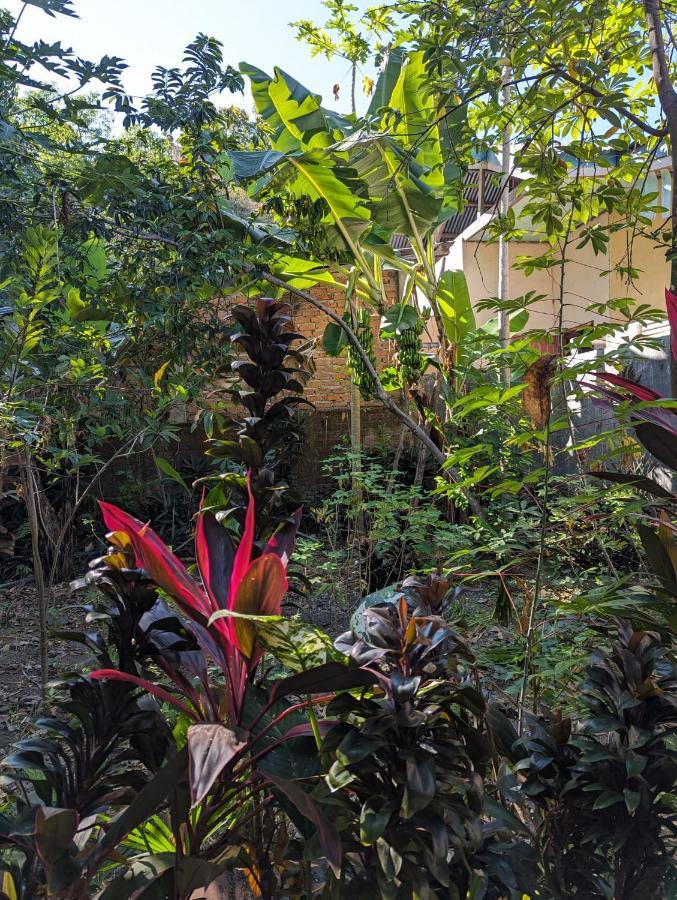 Agusfamily Homestay Лабуан-Бахо Экстерьер фото